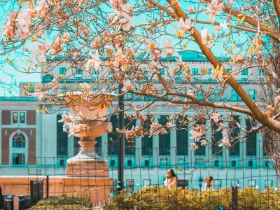 ways to get in trouble at columbia